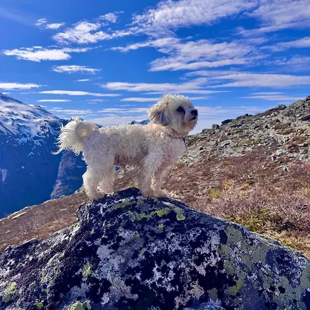 Bispen Utsikten