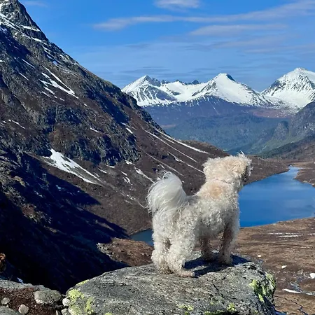 Bispen Utsikten Åndalsnes