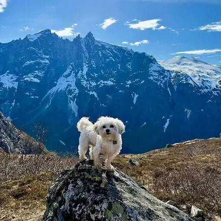 Lägenhet Bispen Utsikten Åndalsnes