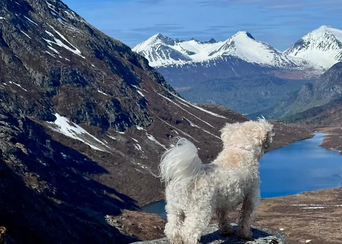 Bispen Utsikten אנדלסנס