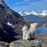 Bispen Utsikten Åndalsnes